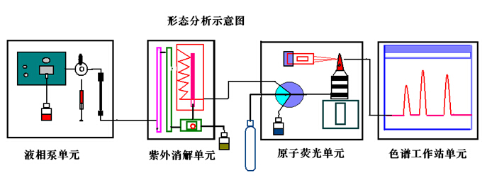 金索坤原子熒光形態(tài)示意圖